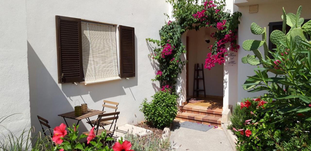 View Of 87 M2, Big Terrace Appartement Cala Murada (Mallorca)